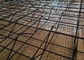Three-Dimension 3&quot; × 3&quot;Mesh Opening Carbon Steel Wire Climber Trellis Mesh