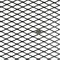 Plastic Coating Galvanized Steel Expanded Wire Mesh For Road Fence supplier