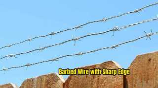 Strong Barbed Wire Fence Security Solution