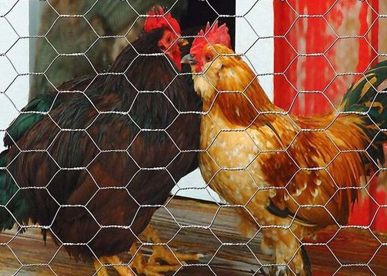 Yard Guard Siatka drobiowa Ogrodzenie z drutu metalowego Ogrodzenie drapieżnika dla kurczaków