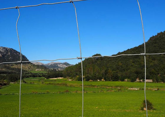H2.4m High Tensile Field Fence Metal Wire Fence For Farm And Pasture