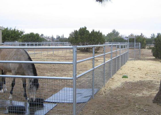 el caballo soldado con autógena 2x4 del alambre artesona 4 la cerca soldada con autógena indicador del caballo del indicador 6