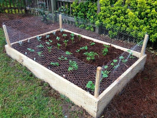 Gabiões de 1/2 polegada como cercas de jardim Função como cercas de fronteira ou gaiolas de cercas