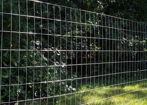 Galvanized Welded Wire Rolled Fencing With Mesh Size 2-In X 4-In