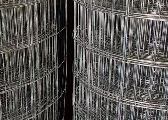 12G-21G Welded Wire Mesh Roll 10m 30m PVC Coated