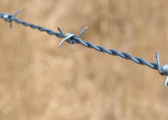 Galvanized Double Twist Barbed Wire 1.4mm to 2.0mm Diameter