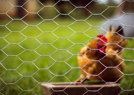 鶏のための金属線の塀の捕食動物の塀を得ているヤードの監視家禽