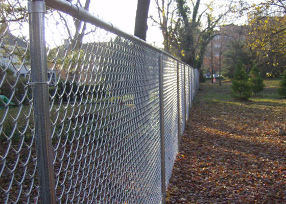 Galvanized Chain Link Fence 50x50mm Mesh Low Carbon Steel Wire 6m Height