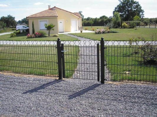 Steel 868 Double Wire Fence 50x200mm Mesh 0.63-2.63m Height