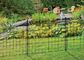 Recinzione da giardino con rete di filo saldato di alta resistenza rivestita anti ruggine