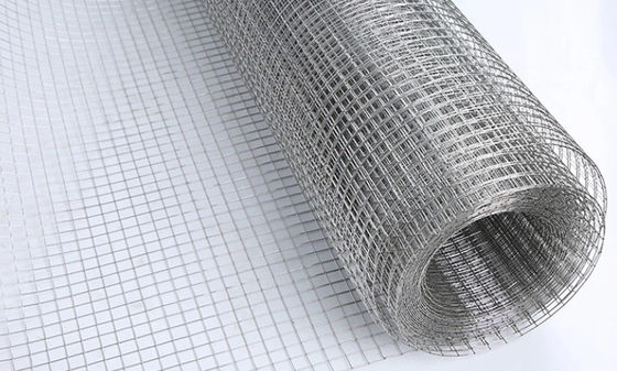 Silver Color Fence 2*2cm Galvanized Welded Wire Mesh Rolls Carbon Steel