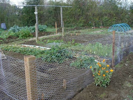 1/2inch Gabions As Garden Fences Function As Boundary Fences Or Fence Cages