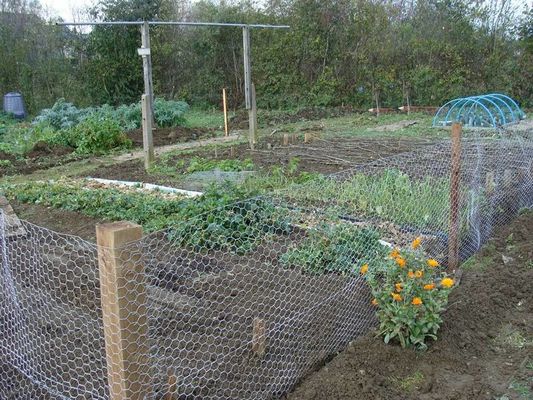 Gabions de 1/2 pouce comme clôtures de jardin fonctionne comme des clôtures de limite ou des cages de clôture