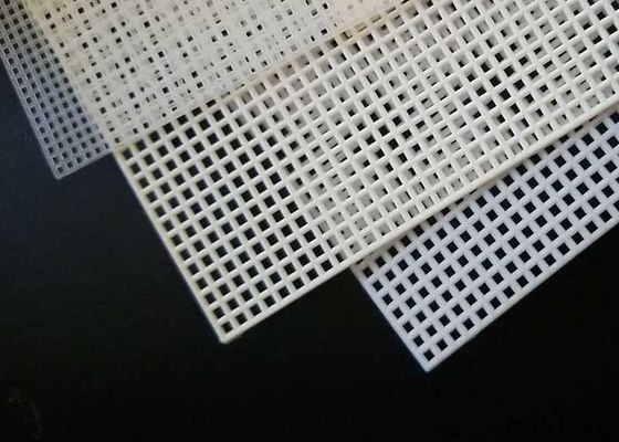 Economical Light Plastic Perforated Sheet Plate For Filter Separation
