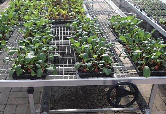 Greenhouse 3×3mm Welded Wire Mesh High Load Capacity And Air Flow