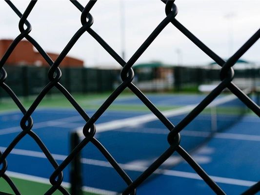 6 Gauge Vinyl Coated Chain Link Fence 6 Ft Height 50 Ft Roll