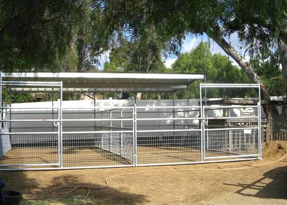 Frame Welded Wire Horse Fence With High Strength And Safety
